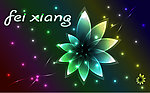 幻彩花纹