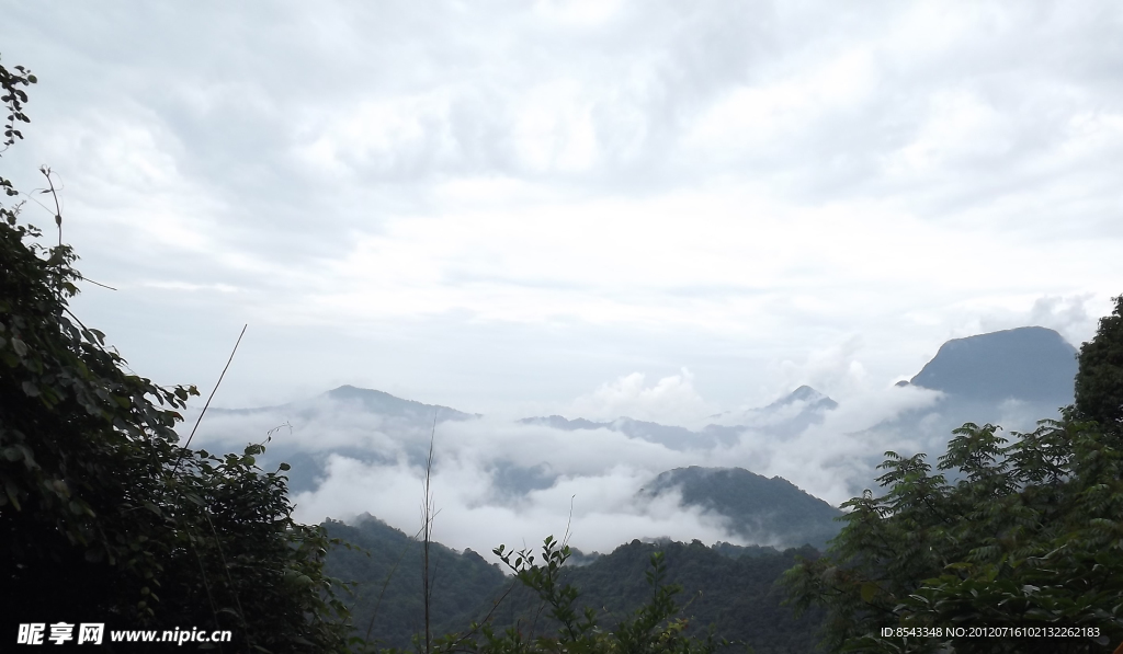 青城山风景