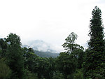 秀丽风景