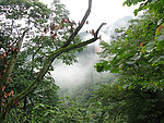 秀丽风光