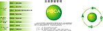 PDCA流程结构宣传
