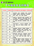 养生保健