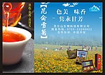 清新雪菊海