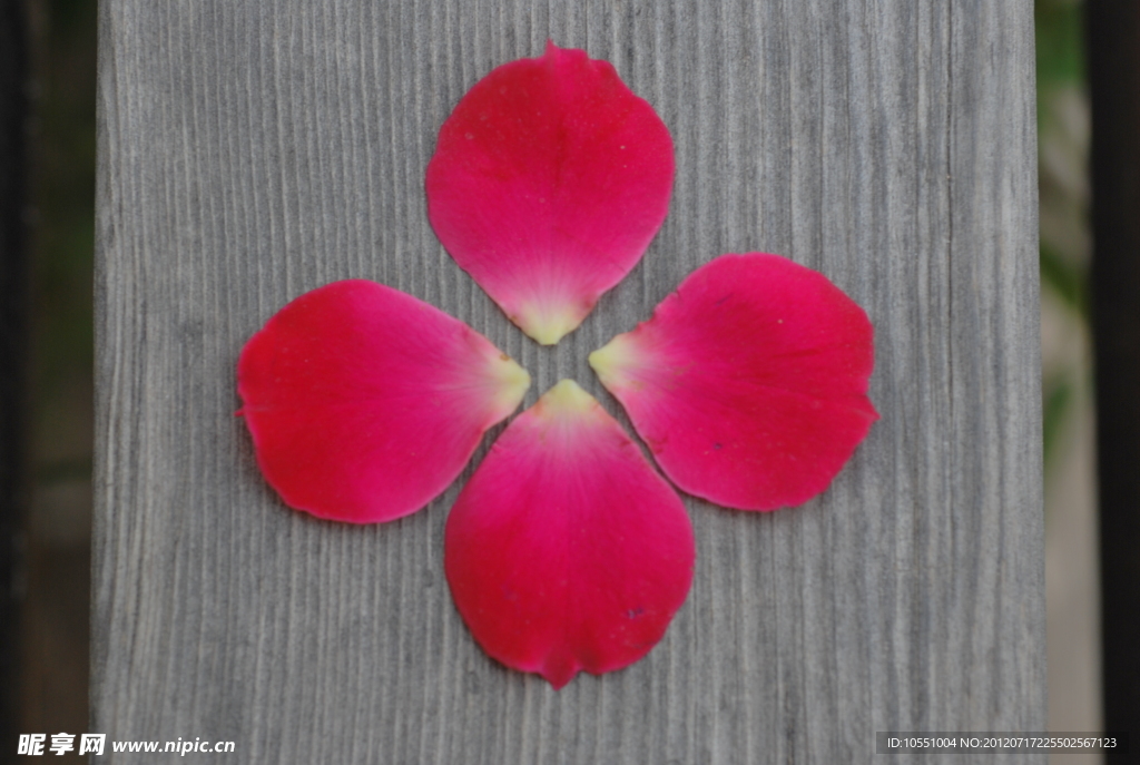 花瓣