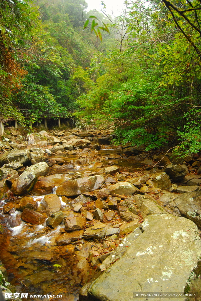 武夷山生态保护区