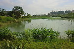 长沙混地公园