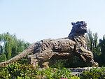 老虎