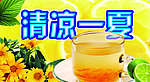 清凉一夏