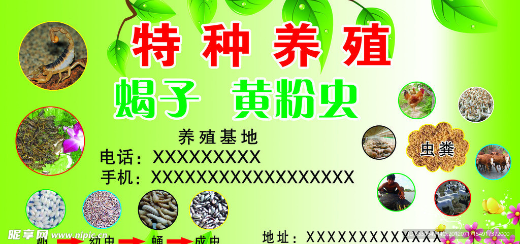 特种 养殖