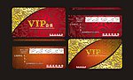 vIP设计