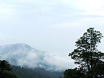 白雾茫茫