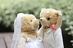 情侣婚纱泰迪熊