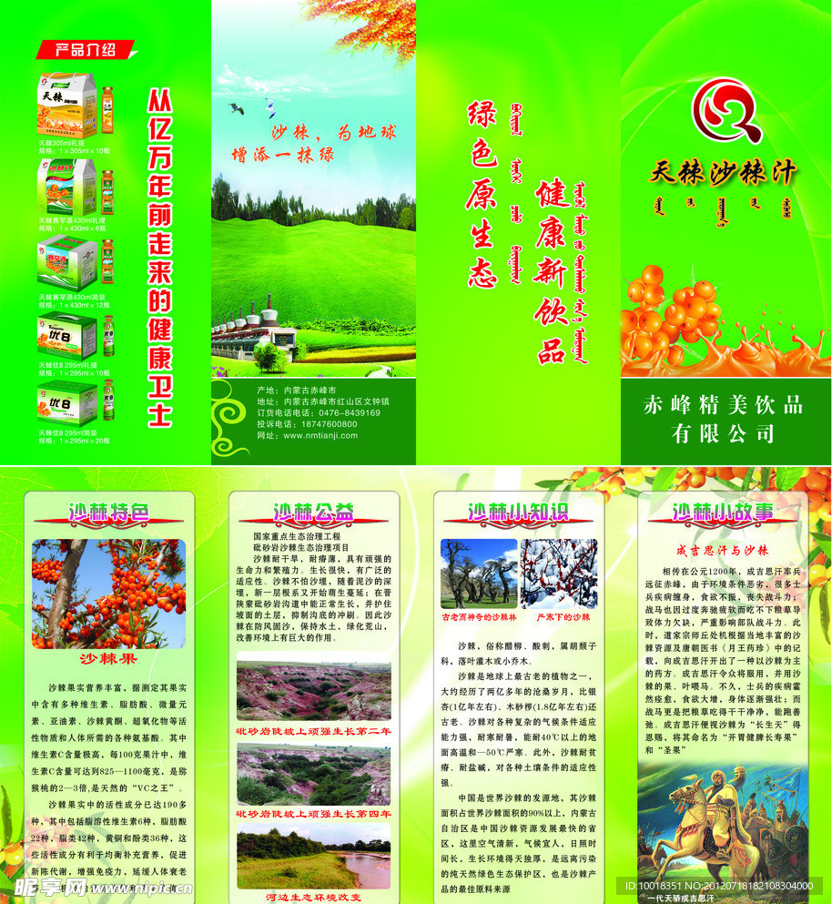 沙棘四折页