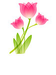漂亮的花