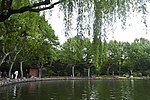 鲁迅公园湖景