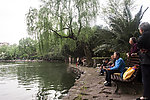 上海鲁迅公园湖岸