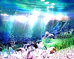 梦幻海底世界视频