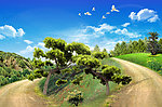 山路