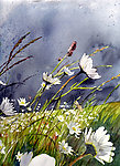 油画 白色野花
