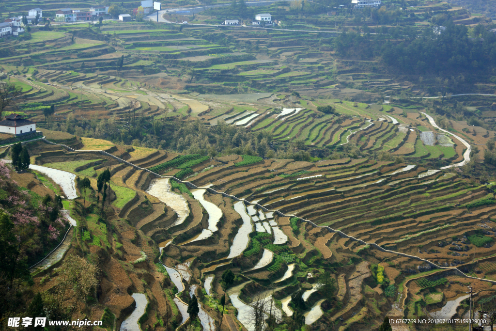 丘陵 梯田 田园风光