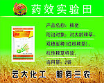 云大化工农药