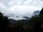 后山风景