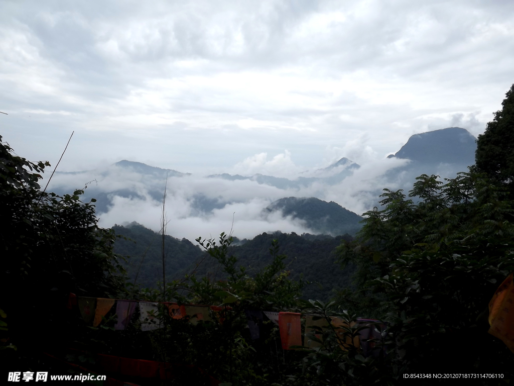 后山风景