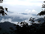 高山云雾