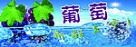 葡萄新鲜上市海报