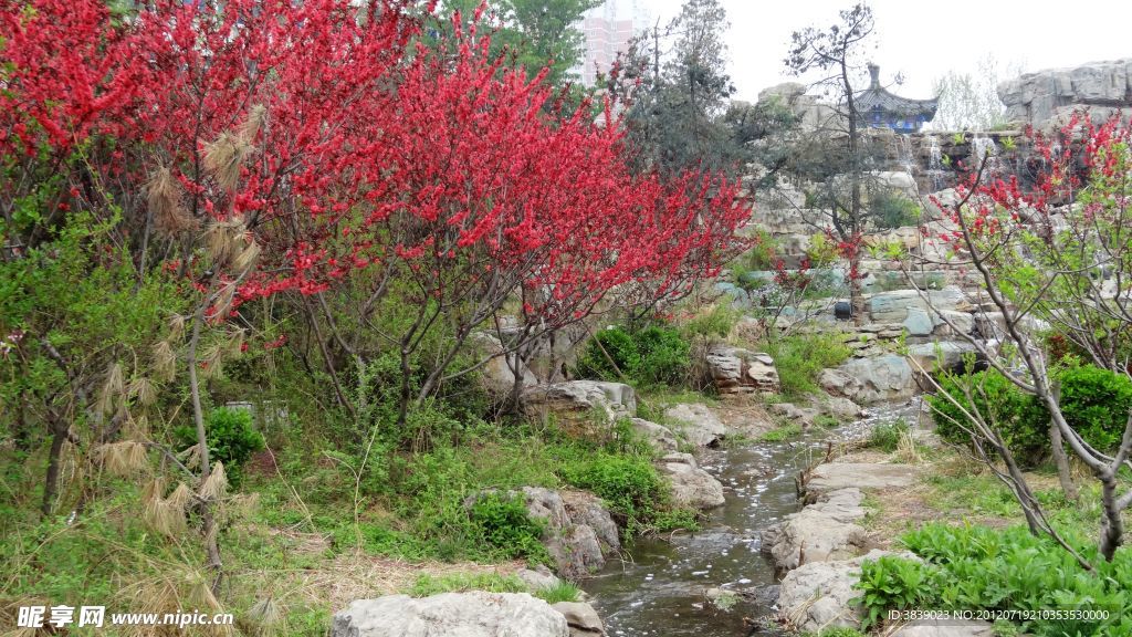 溪水红花