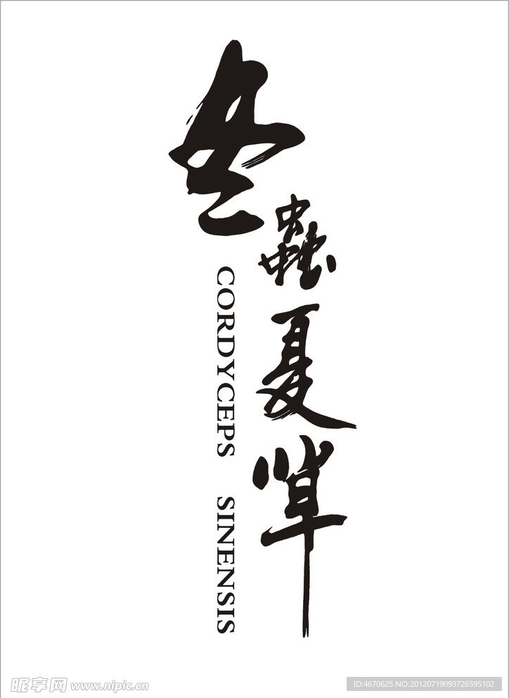 冬草夏草