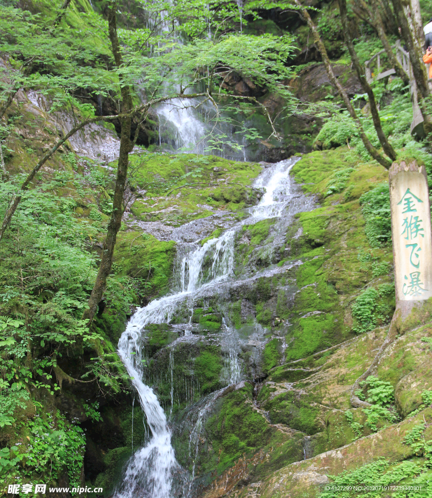金猴飞瀑