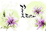韩国鲜花背景