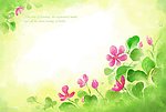 鲜花花朵背景