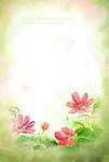 鲜花花瓣背景