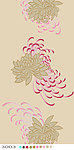 梦菊
