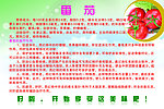 番茄