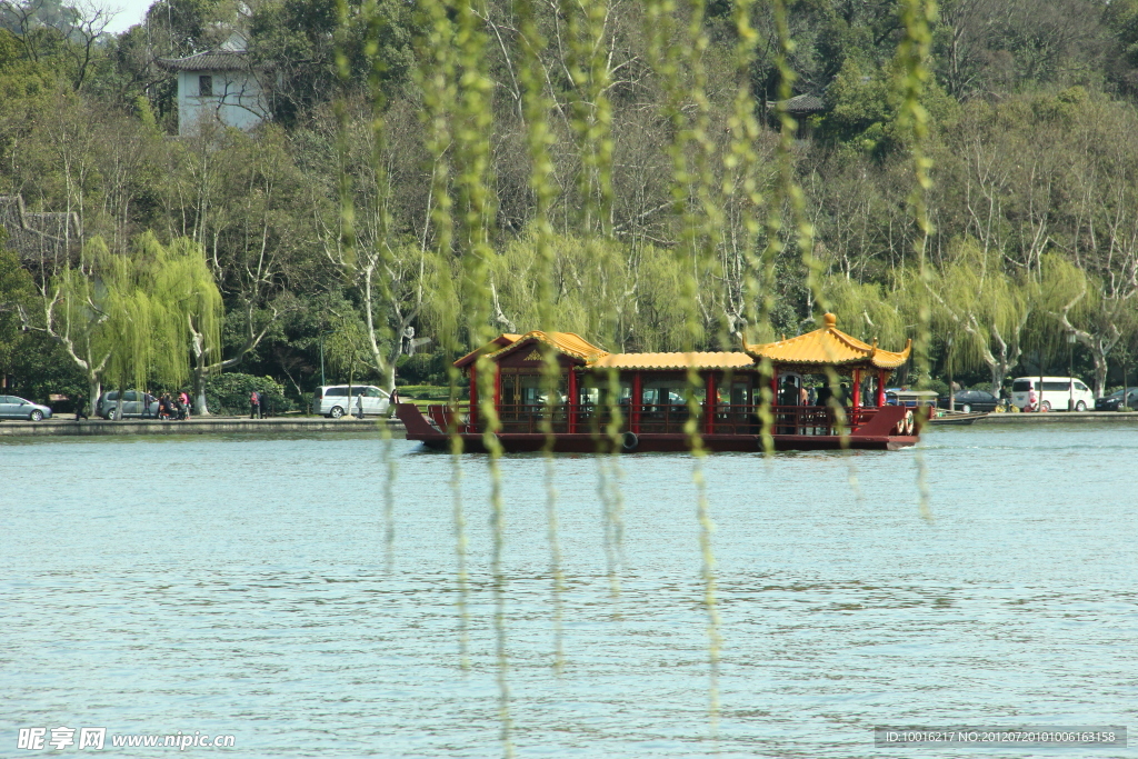西湖 柳树