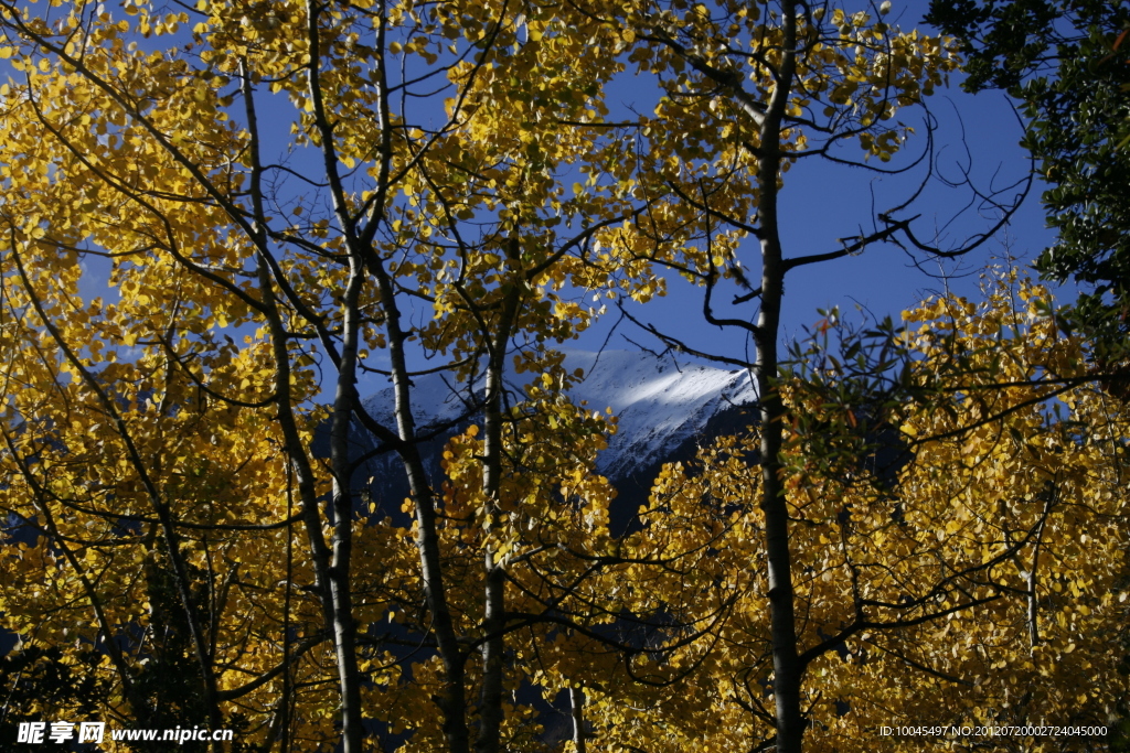 雪山