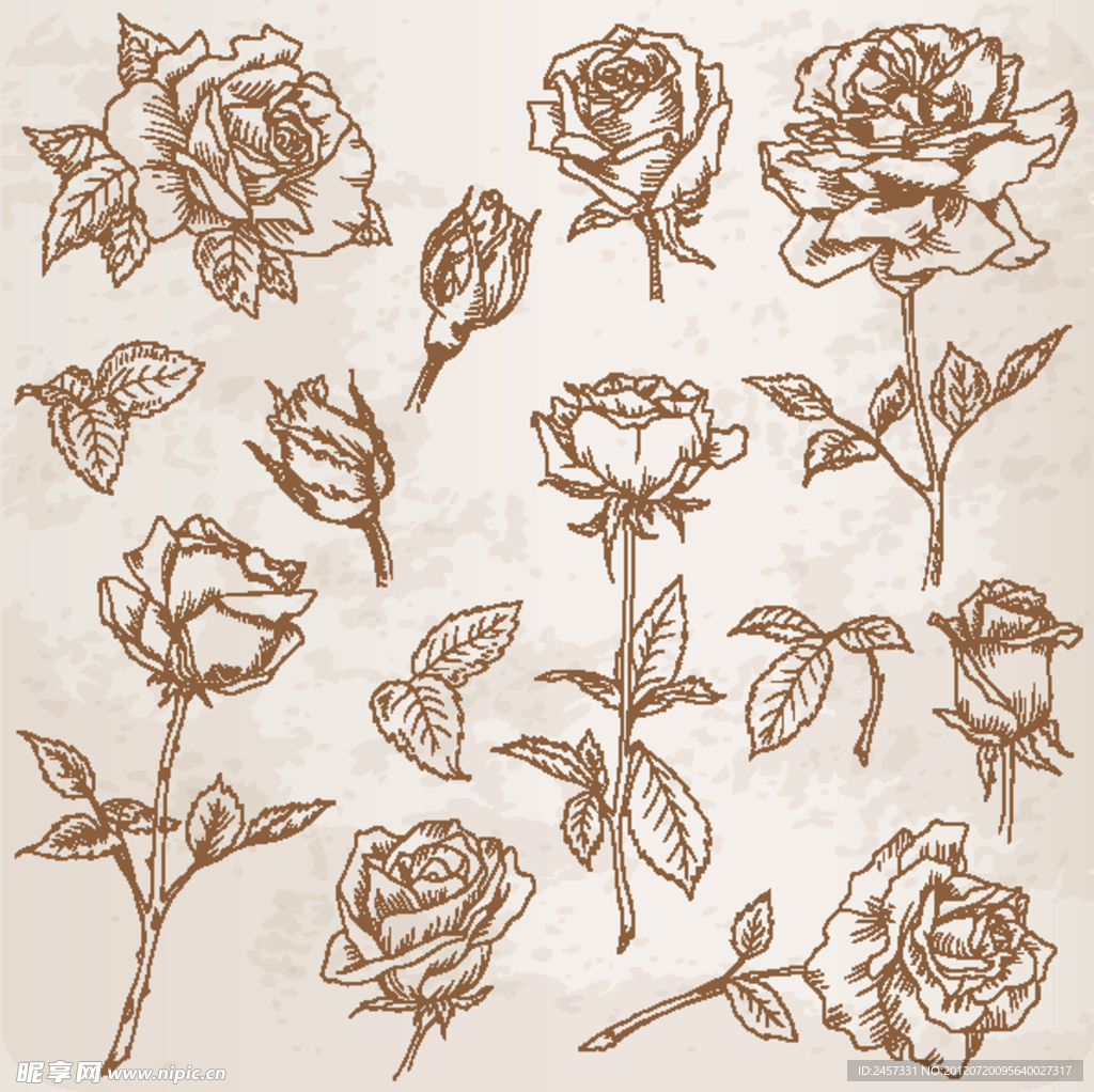 素描玫瑰
