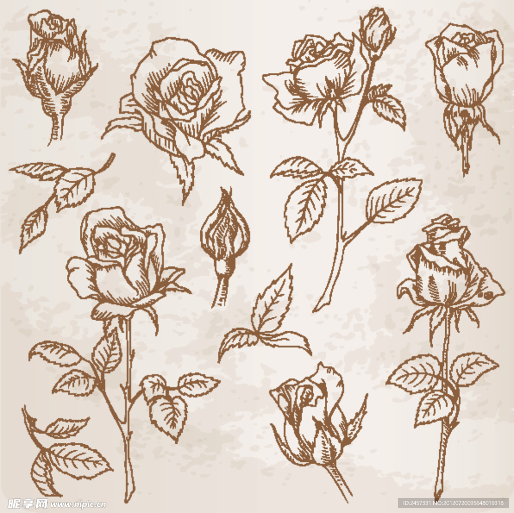 素描玫瑰