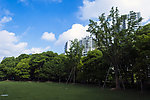 上海黄浦江滨江绿地