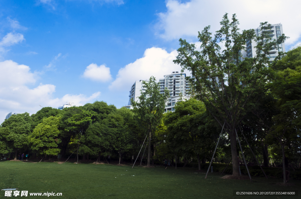 上海黄浦江滨江绿地