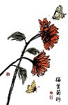 鲜花蝴蝶背景