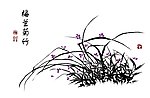 兰花水墨国画
