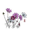花朵花丛水墨画