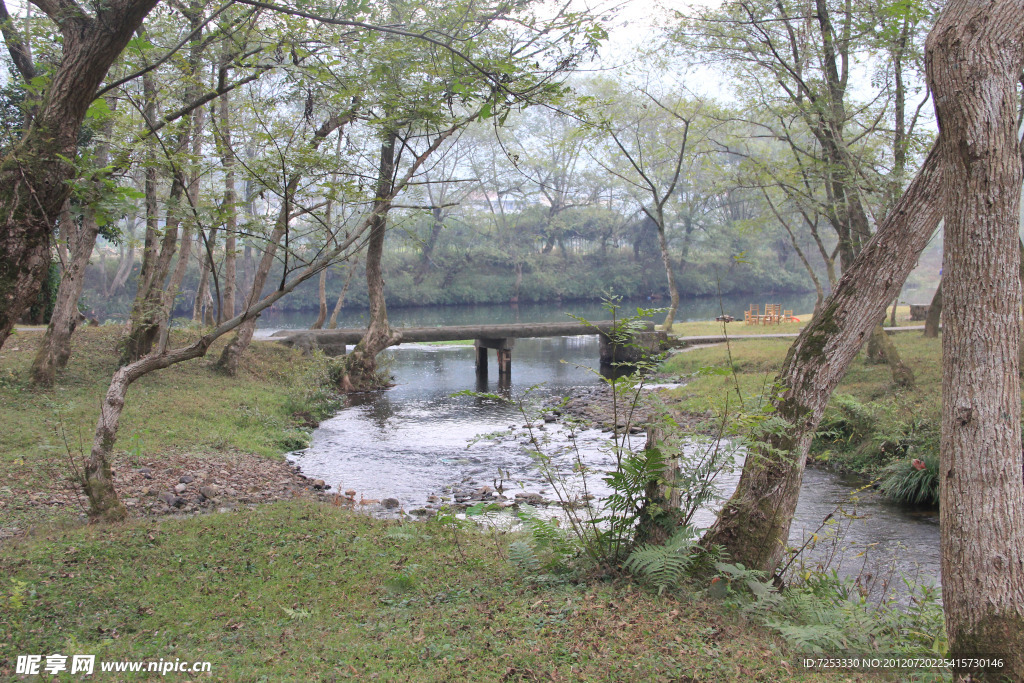 河边风景