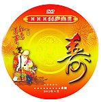 生日 DV盘贴光盘