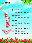 感恩心