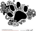 花纹